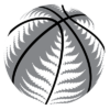 logo-league-International-NBL-NewZealand